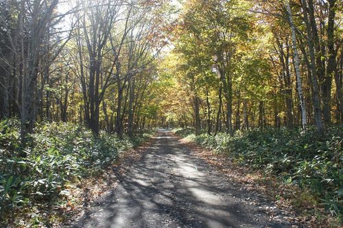 DSC06620_R DSC06620_R